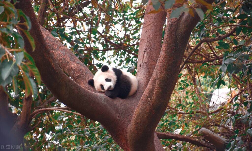 �ɶ�����؈�������M���B���Fɭϵ�y������؈����������������