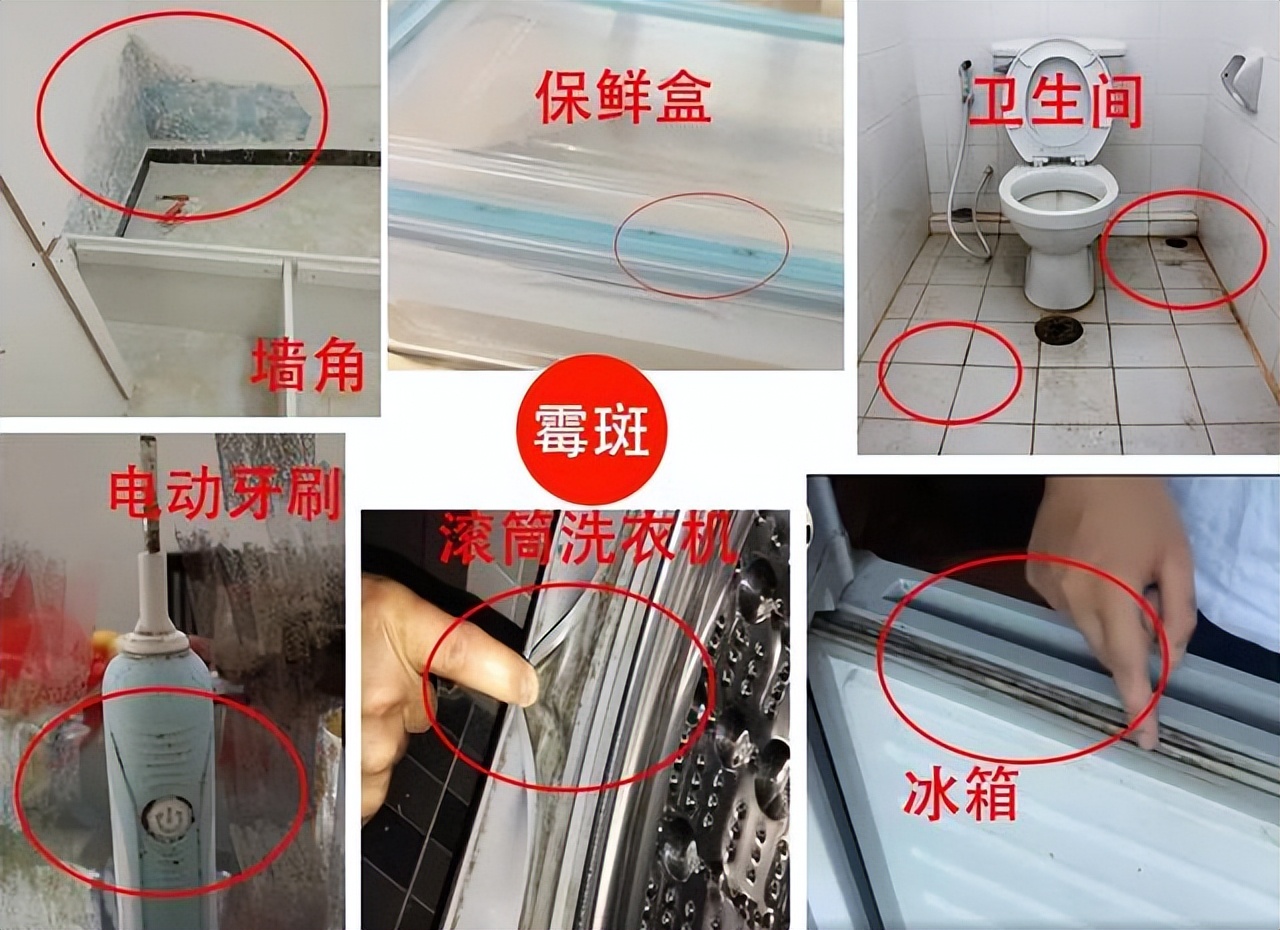 等我再换房，卫生间一定要学日本人这样设计，太先进了，晒晒