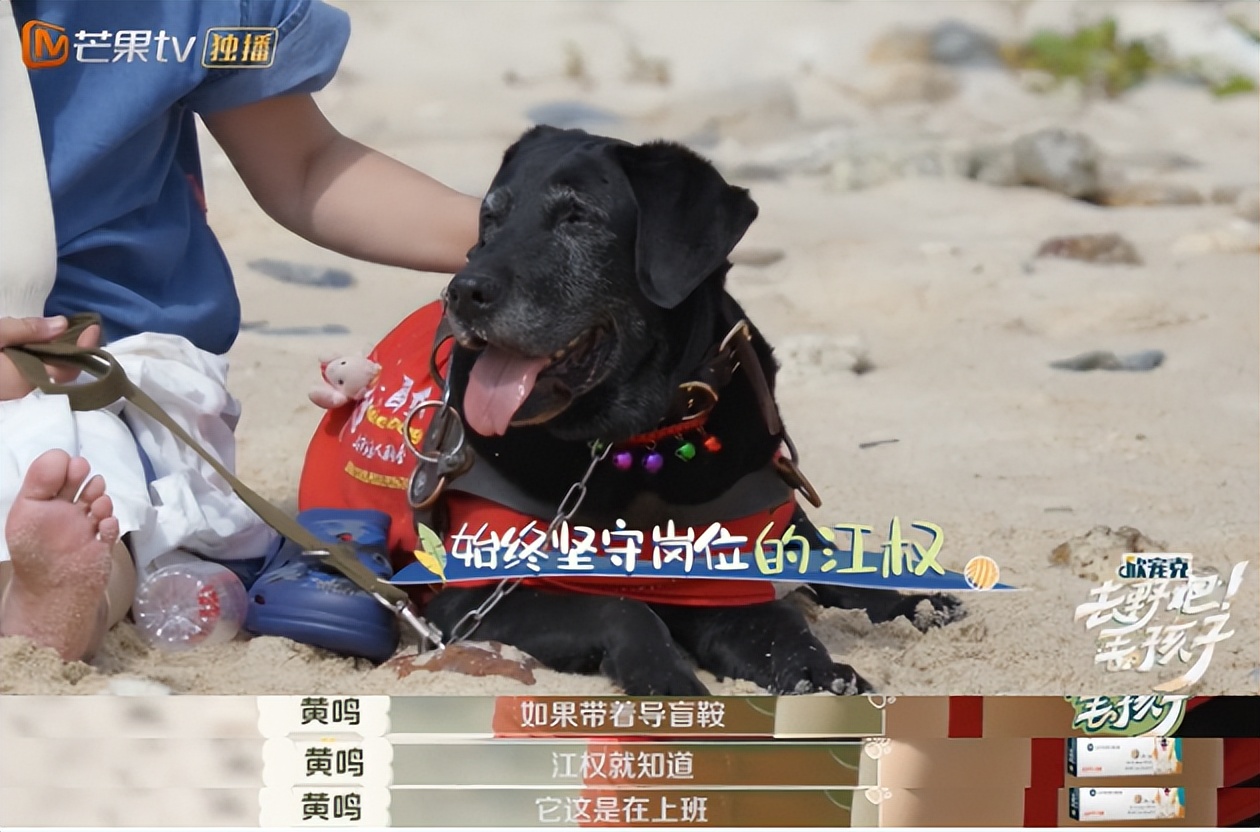 10分钟看哭7次！当他们不再“有用”的时候，却也无法正常生活