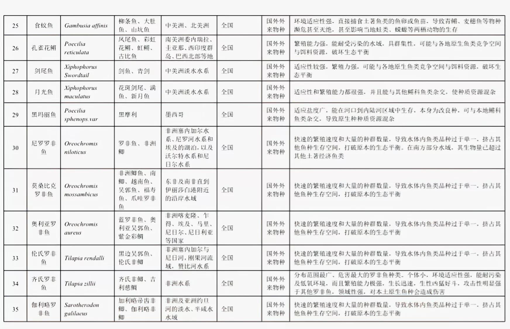 铁背鱼长什么样，95种禁放水生物图片介绍