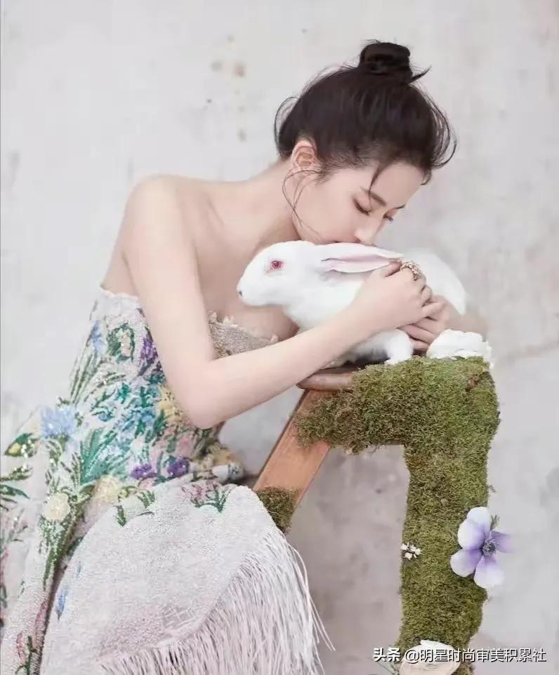 金晨、白鹿淡妆浓抹总相宜，自拍库存平易近人，领家妹妹即视感