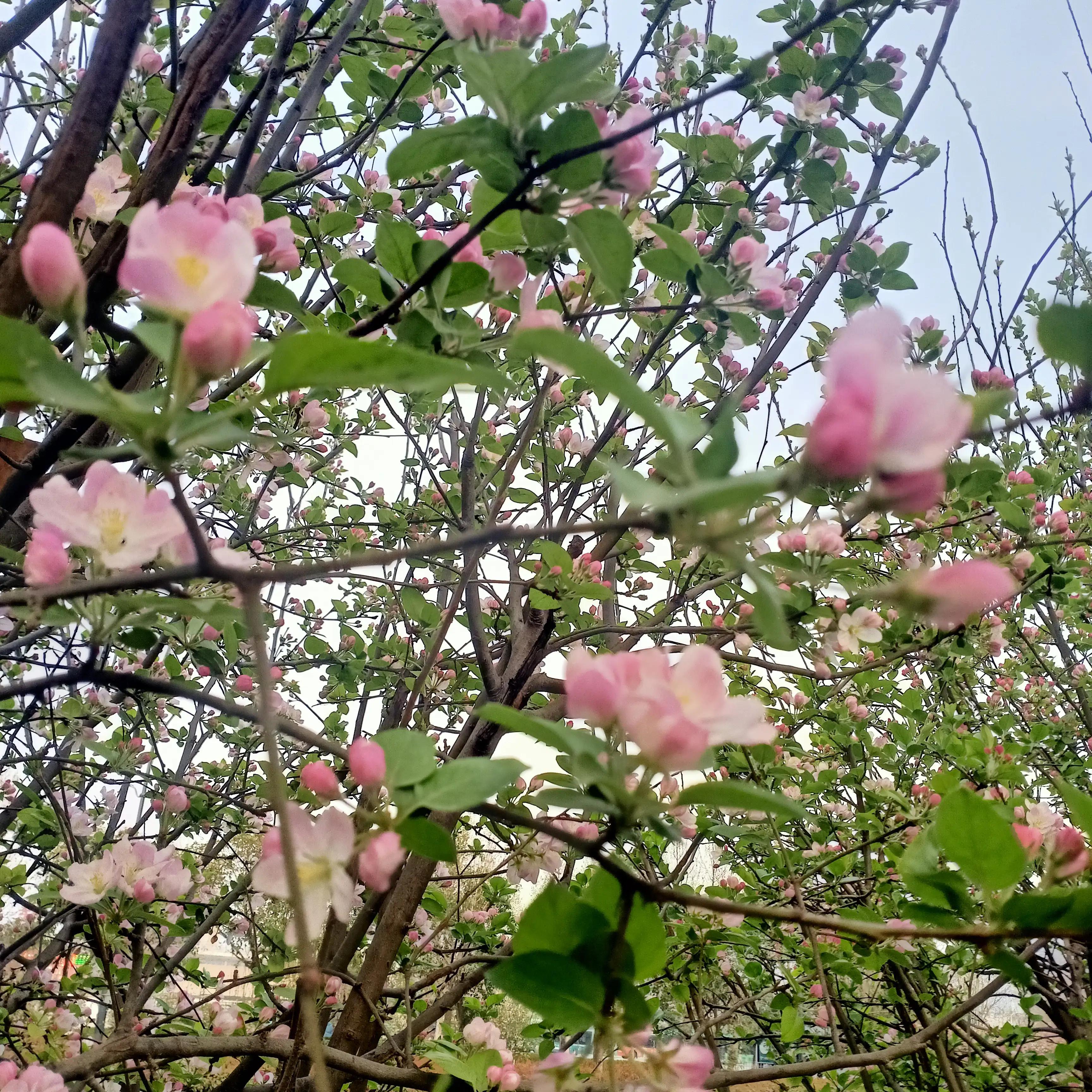 能忍为高，善让为智；能大能小，是大人物；能屈能伸，是大丈夫