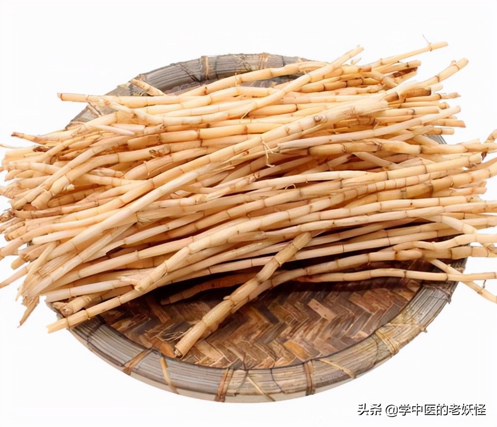 白茅根的功效与作用凉血止血清热利尿