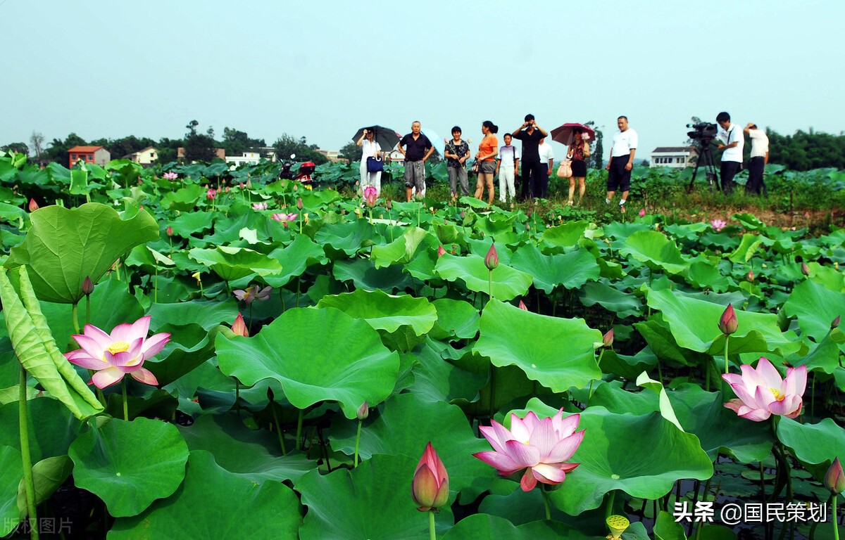 中国经济第三“发动机”，乡村旅游不可或缺？“死磕”IP再次出圈