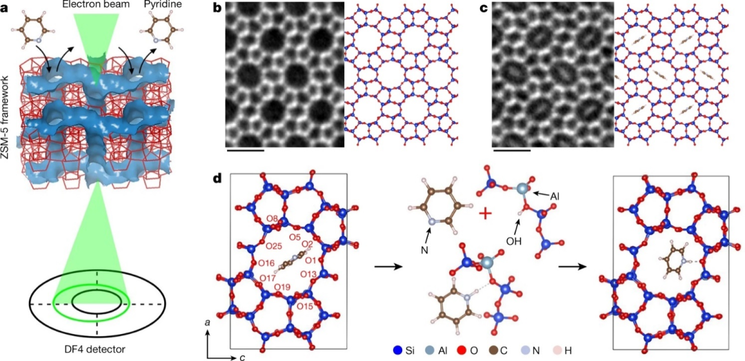 清华大学魏飞团队研究成果今日再登Nature：单分子成像技术