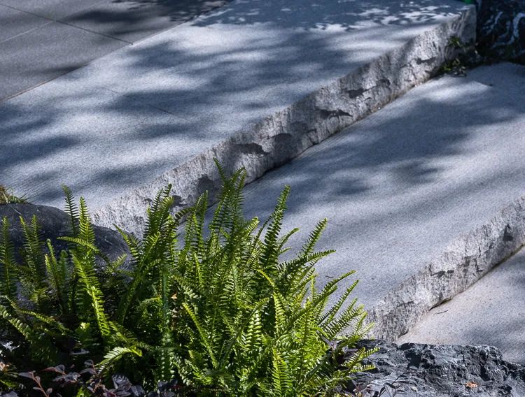 宋书雅境，人文逸兴 