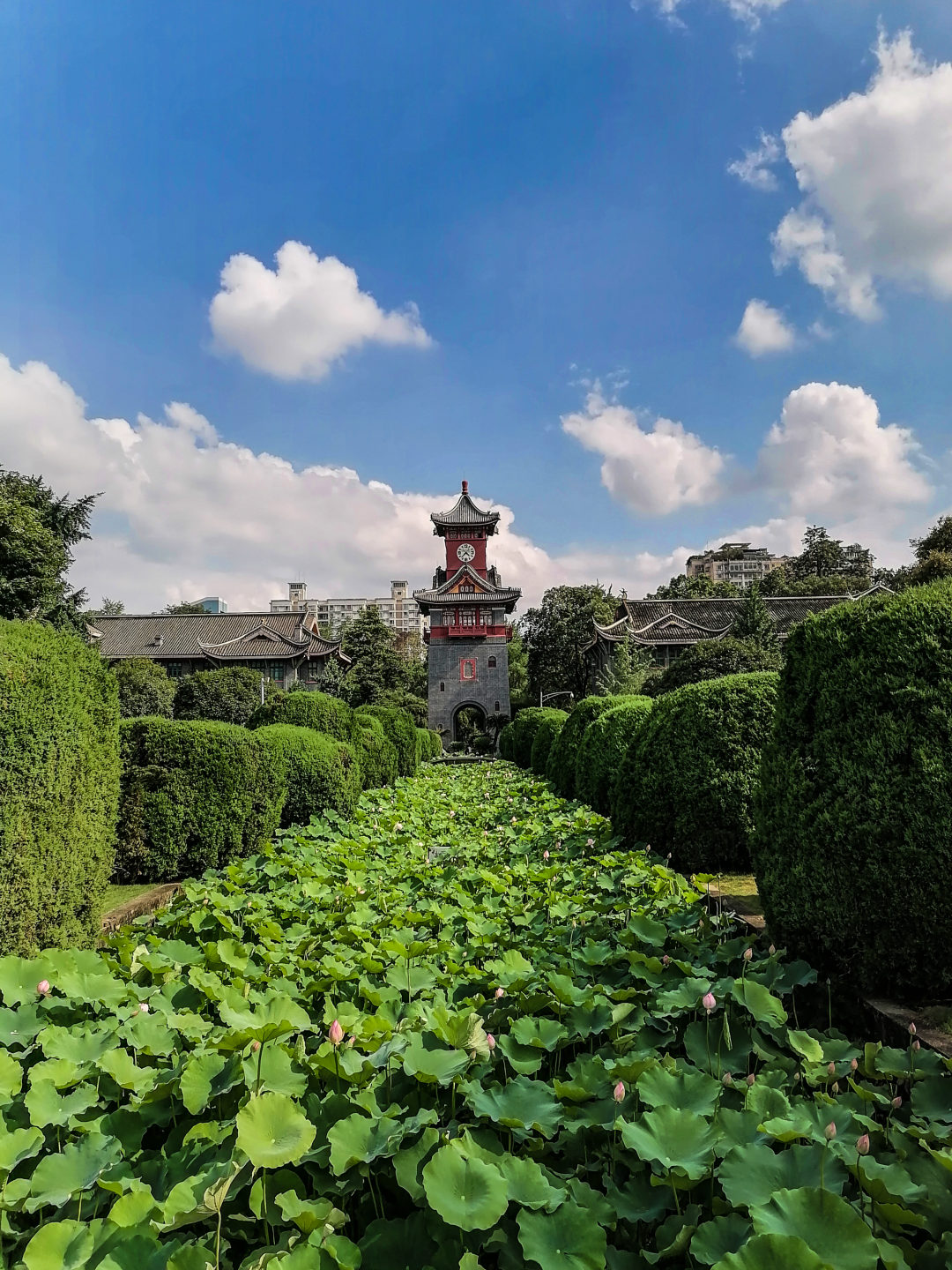 创“全球首个”，培养70位院士，走出开国元勋！四川大学又一“高超技艺”曝光！