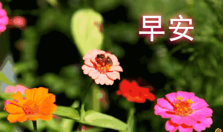 星期四特别适合发漂亮发朋友圈的早上好图片，平安吉祥、幸福满满图片