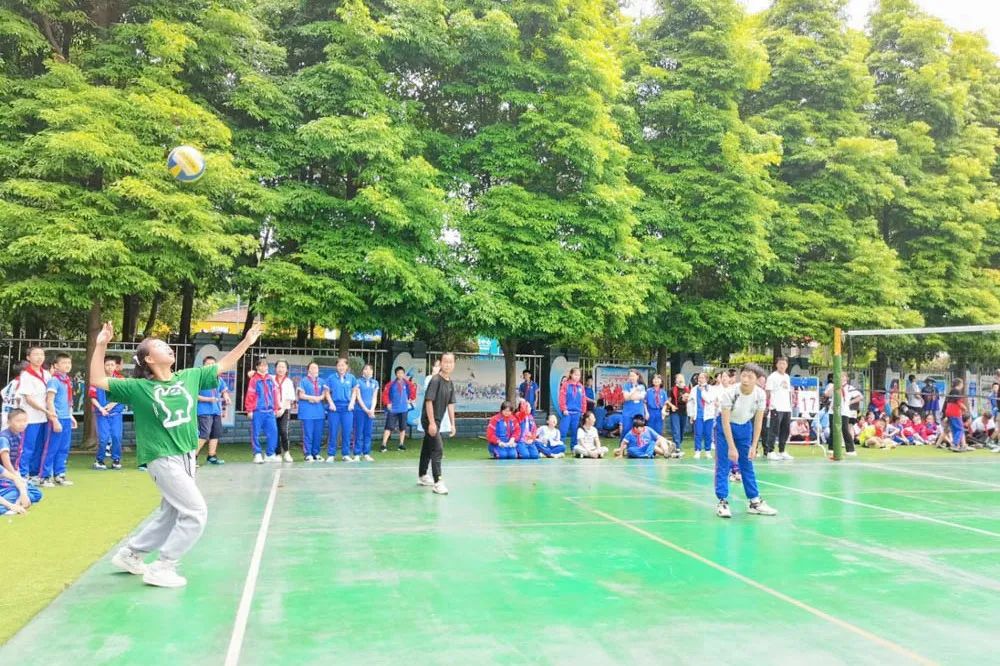 活力金小迎大运 阳光排球伴成长｜金桥小学排球联赛正式拉开帷幕