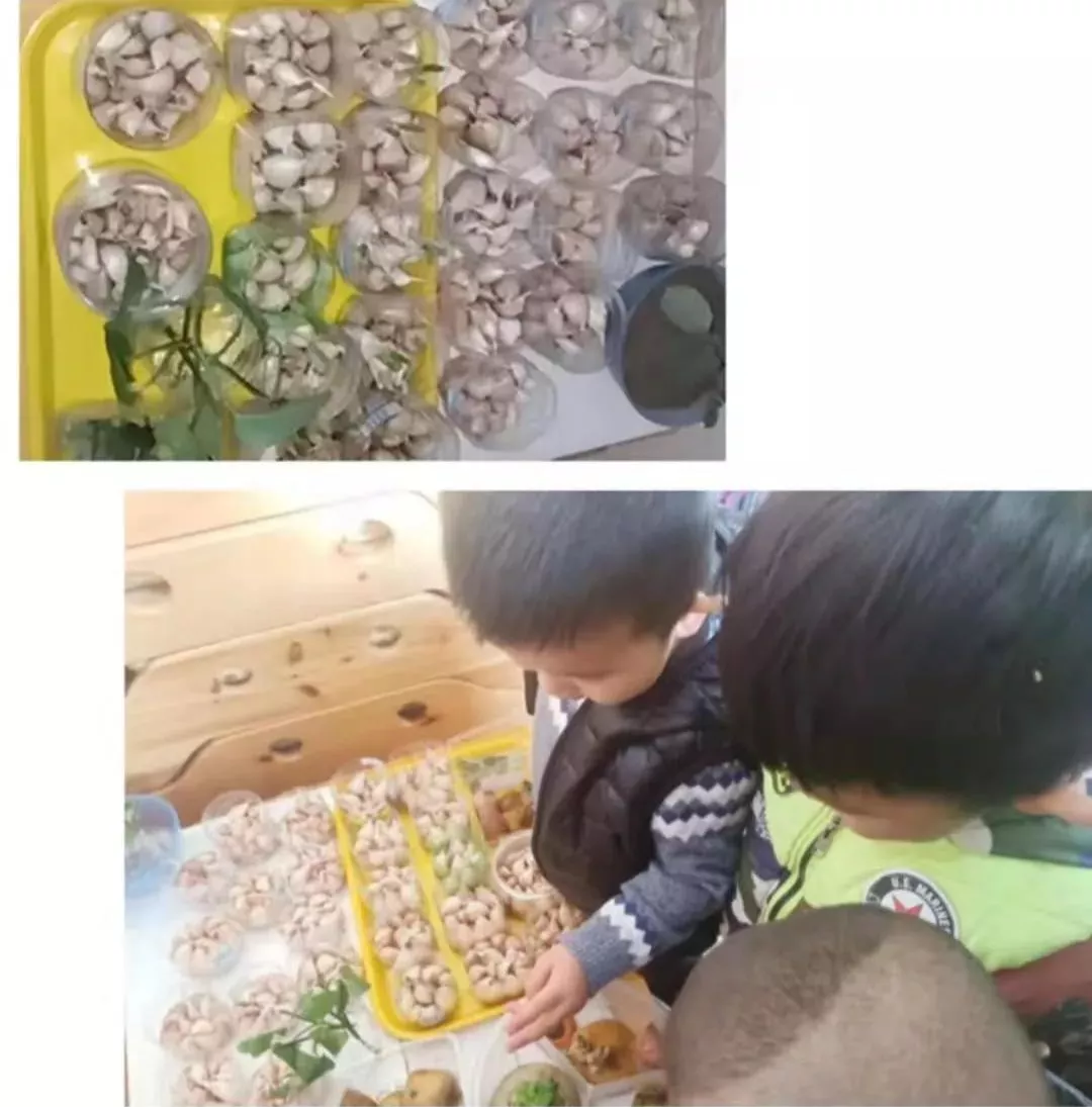 中國幼教公益論壇丨幼兒園冬季室內活動方案
