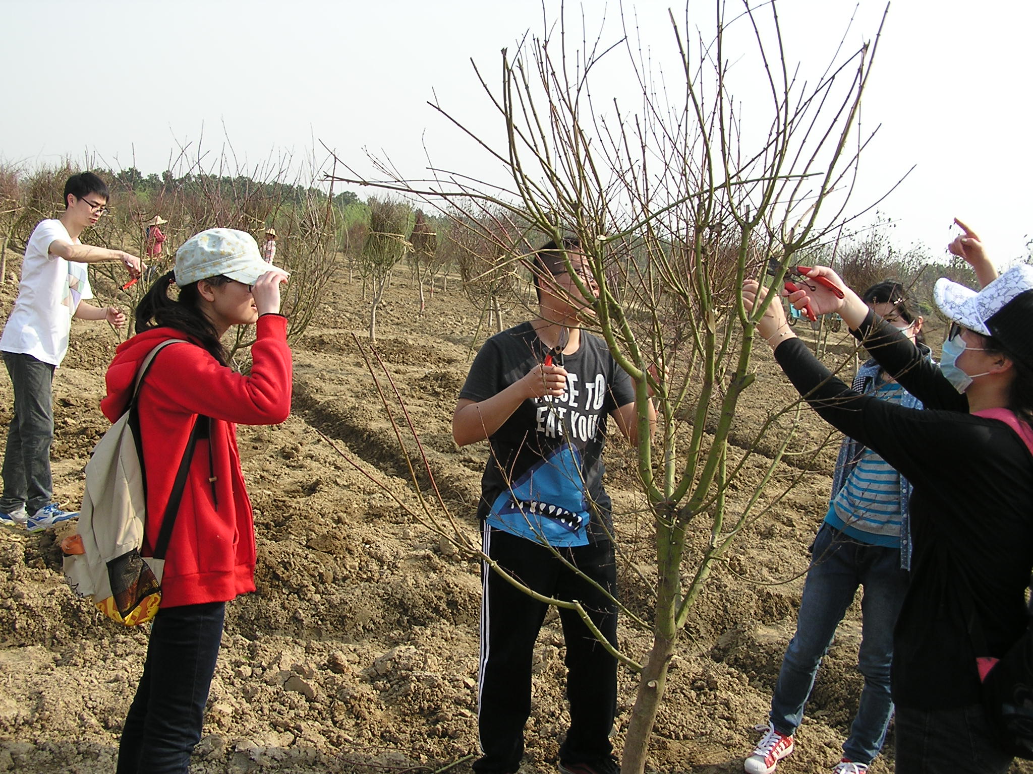 让更多“新林人”成为“兴林人”