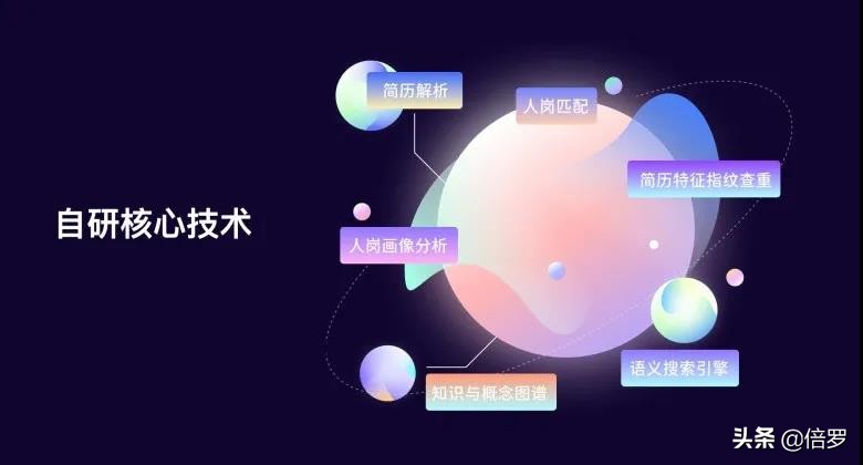 新大陆招聘（从创业者到领航者）