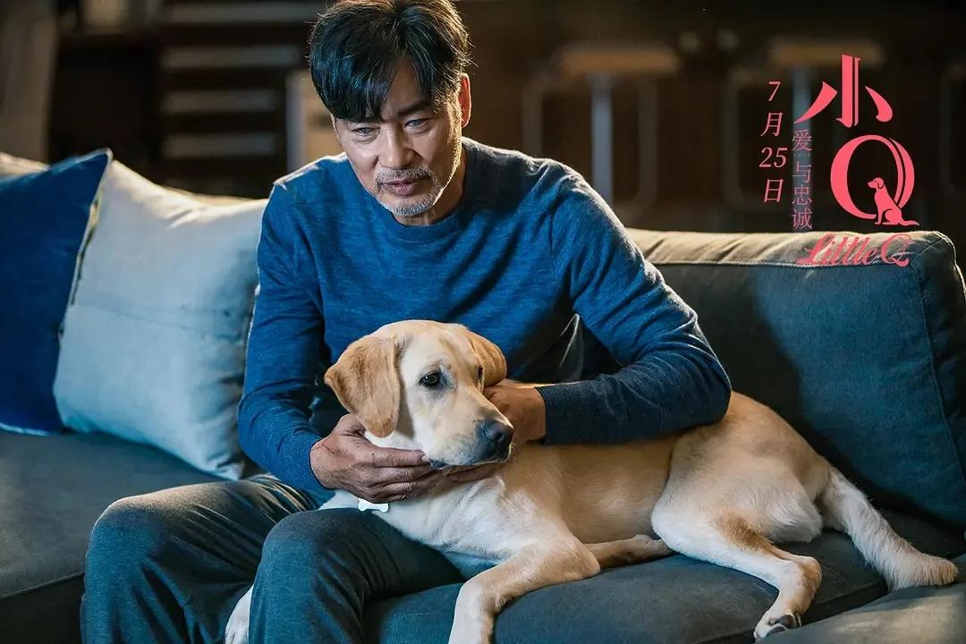 十大催泪狗狗电影推荐