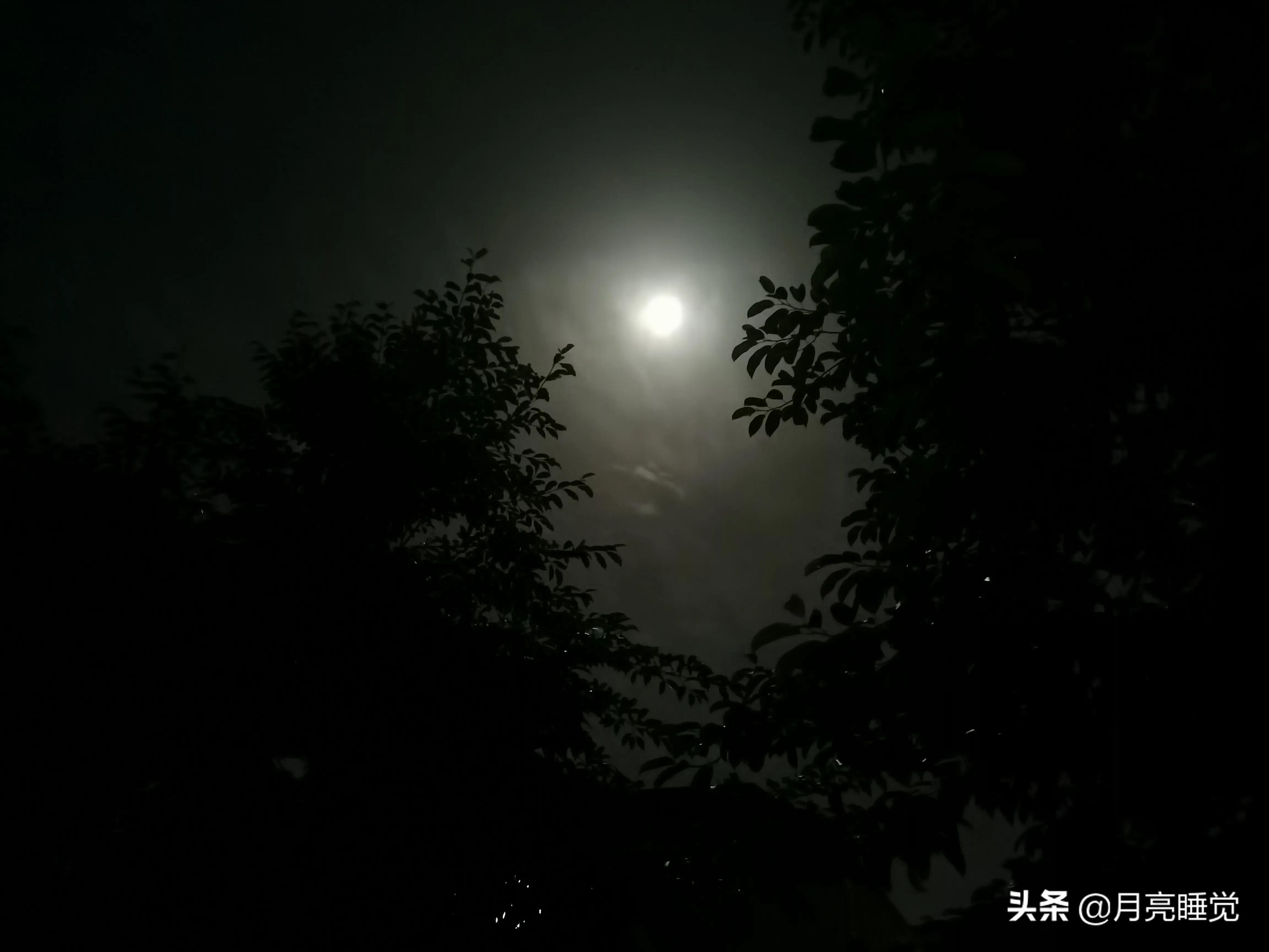 夜晚月亮真实图片图片