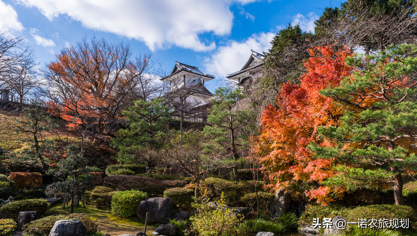 如何打造一个成功的田园综合体？