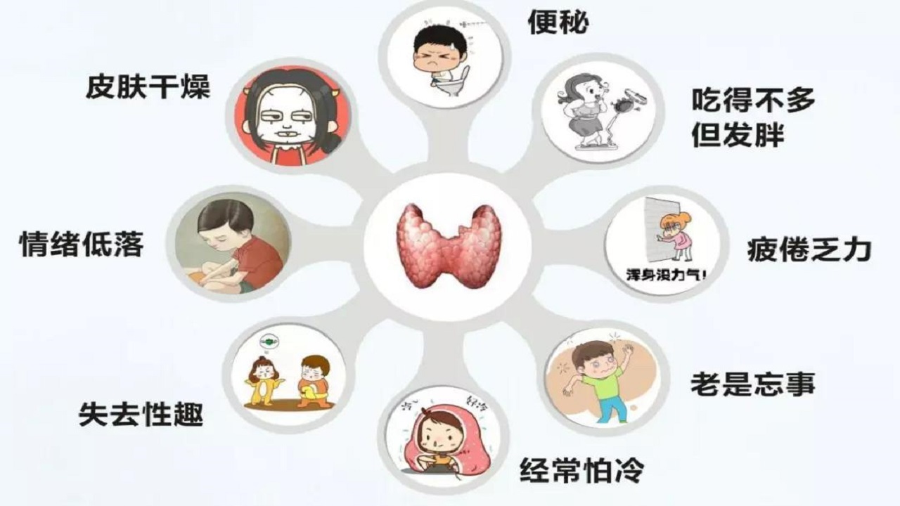 一,甲状腺功能衰退的症状表现是怎样的?