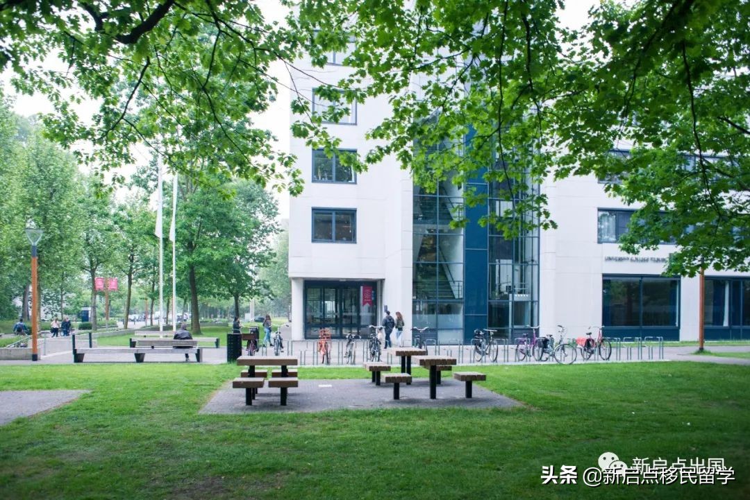 出国留学选择什么专业最容易拿移民身份？