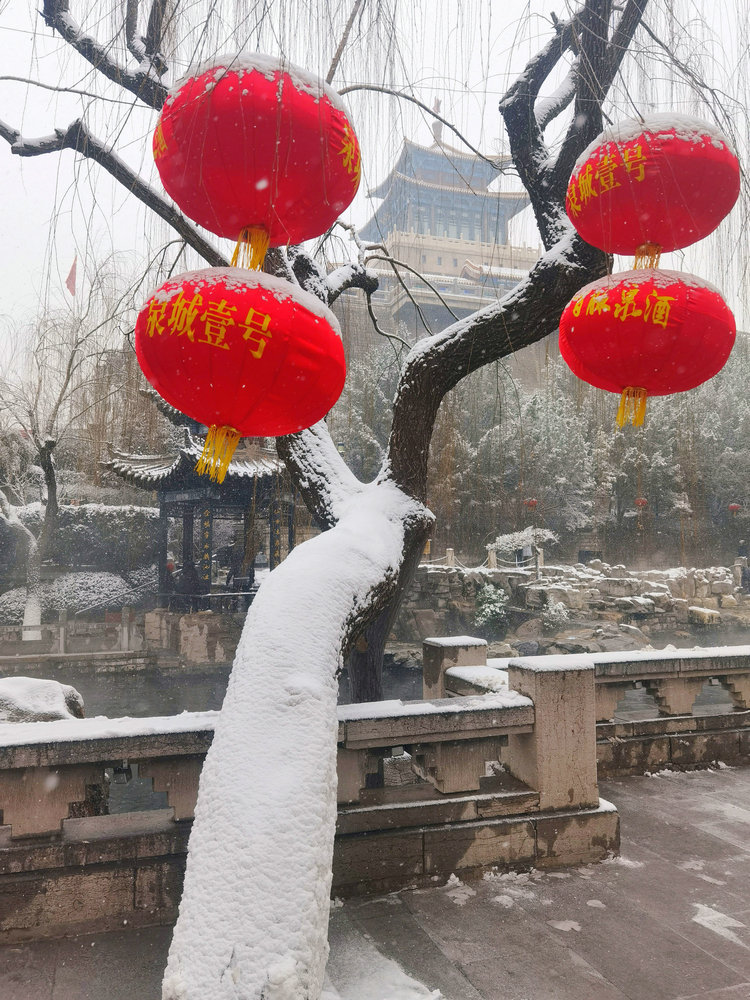 雪送祥瑞兆丰年：济南市民冒雪赏景