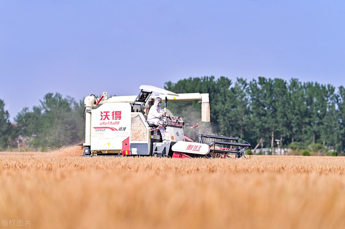 10公斤小麥收割機，江蘇沃得vs中聯(lián)谷王，沖擊榜首的“王者”比拼