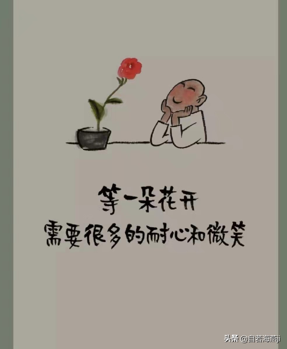 充满阳光的句子