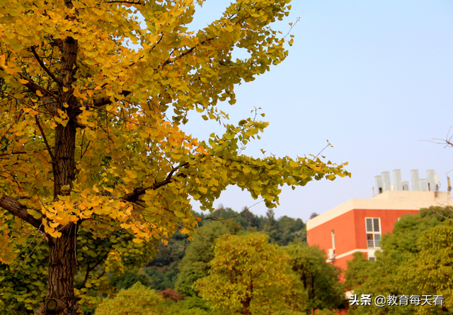 好消息！湖南省迎来一所新“双一流”，高等教育水平更上一层楼