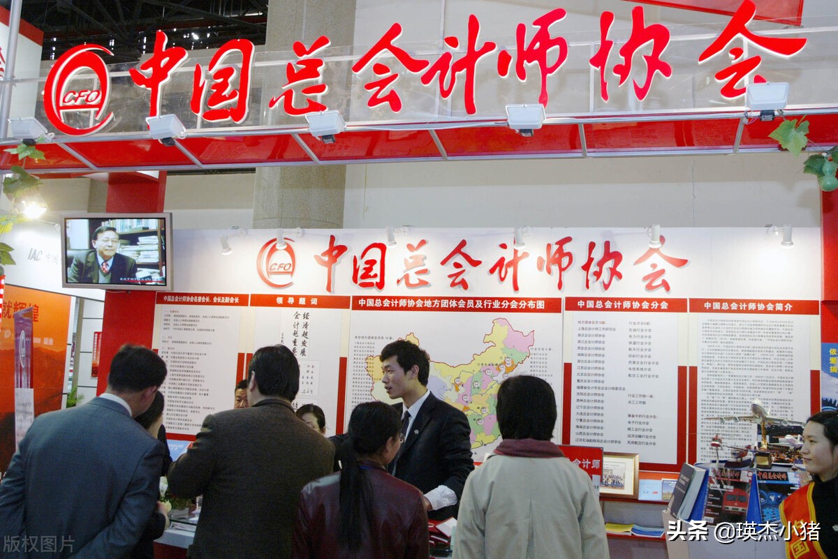 注册会计师是什么级别（总会计师是什么职务）