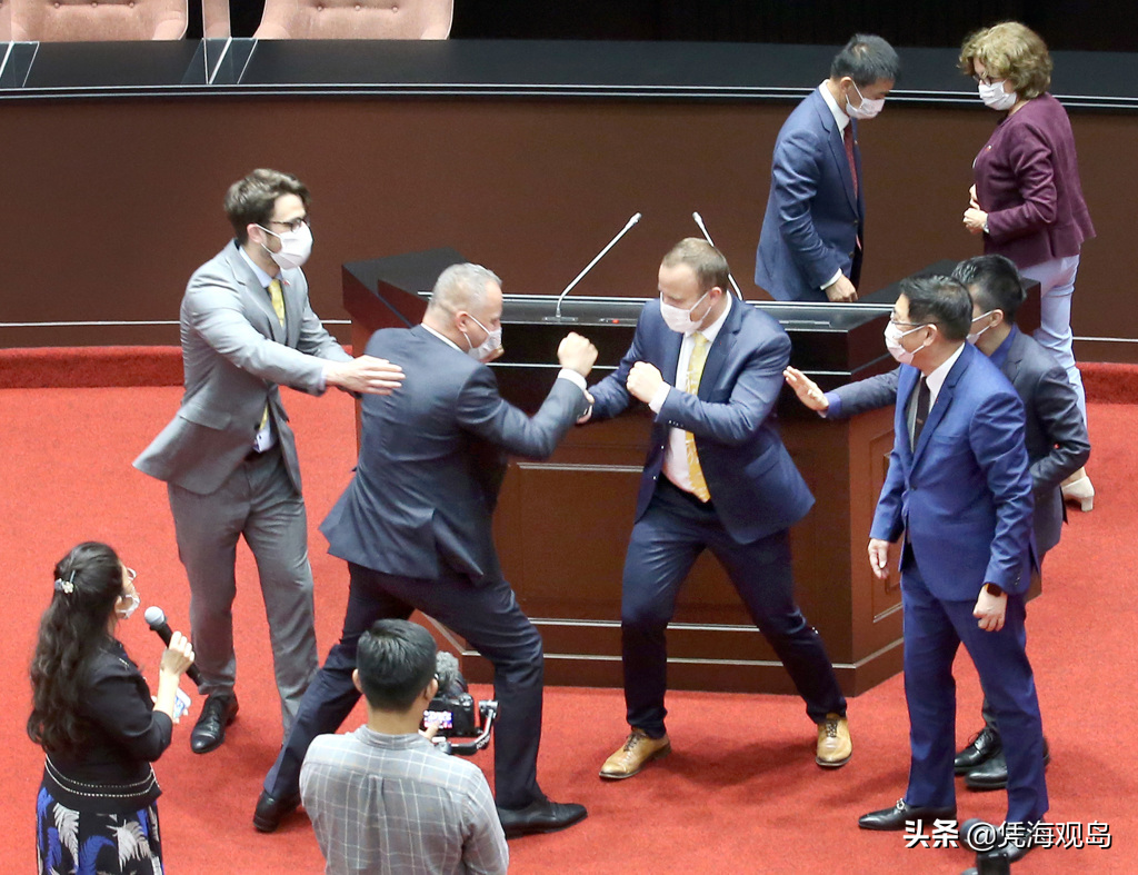 斯洛伐克議員竄訪台灣，模仿島內政客打架，“金元外交”沒有尊嚴