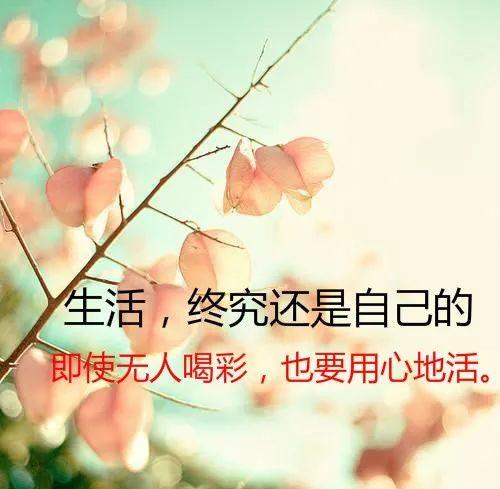 高情商的暖心句子3