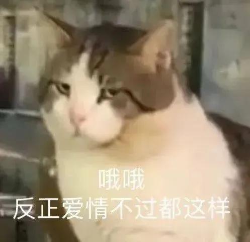 表情包｜今天城里不努力，明天村里掰苞米