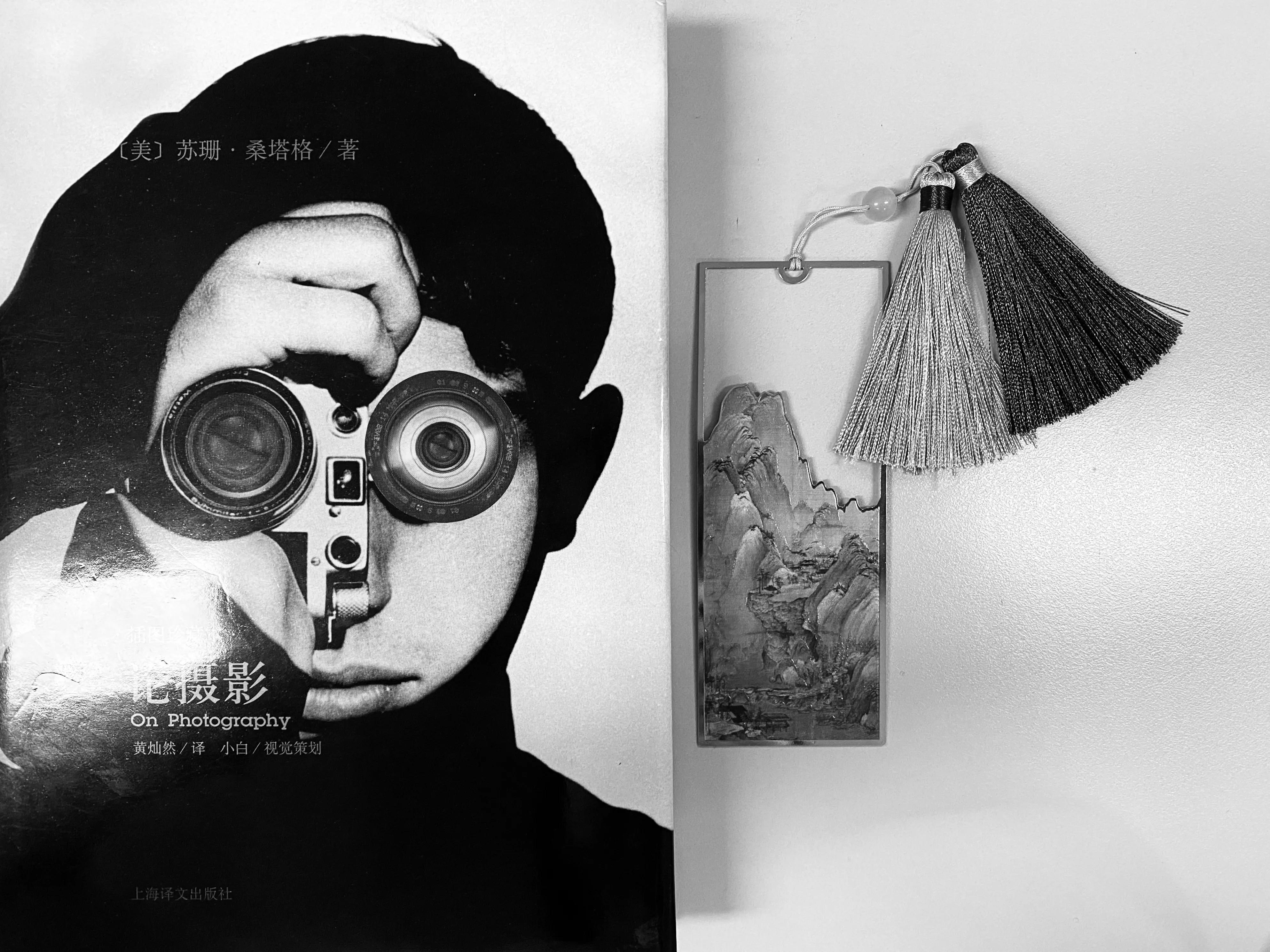 光影交织中的灵魂独白：摄影作品的诗意赞歌