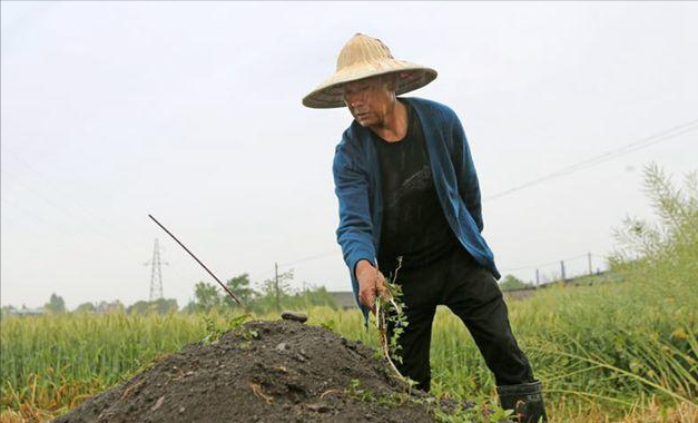 14年前背亡妻回家感动国人,半年后闪婚的吴加芳,如今不再期待爱情