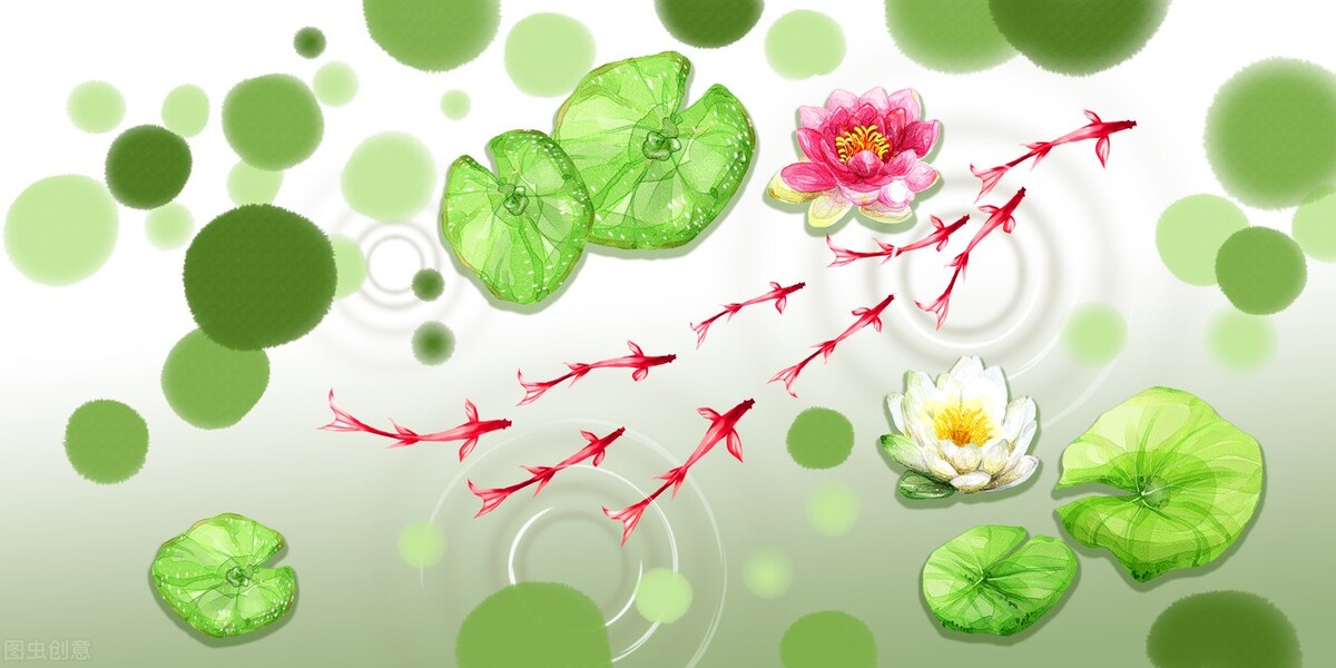 中国风水墨荷花图.禅意静心唯美意境,古风仙仙荷韵写意之美