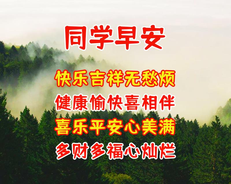 发给老同学的真诚问候语图片