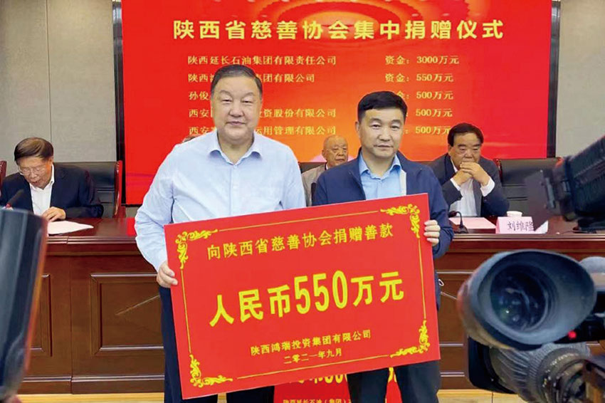 助力秦岭南麓山村“蝶变”——记陕西鸿瑞投资集团有限公司