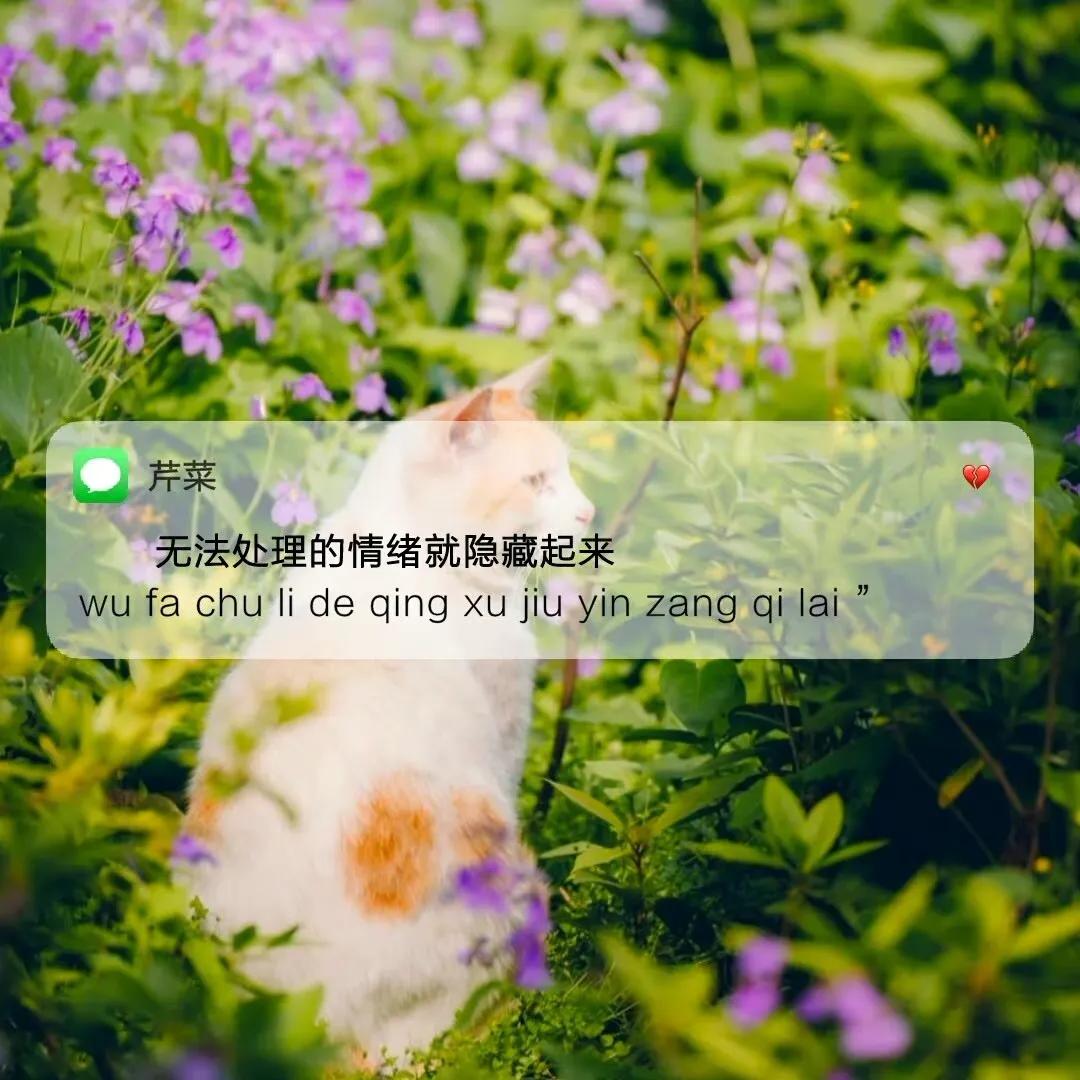 文案｜发朋友圈的文案短句