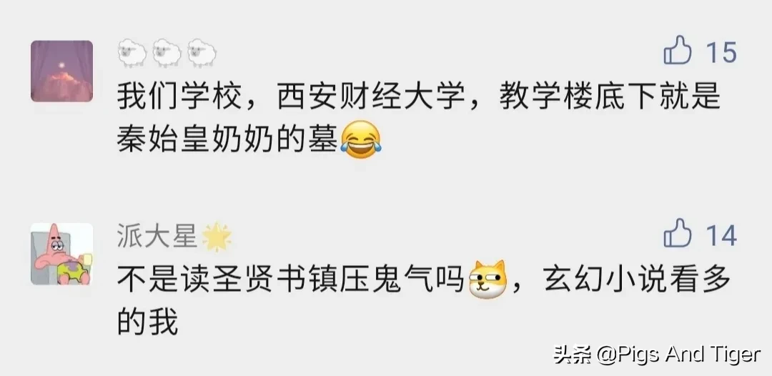 太可怕了！现在流行的炫富方式，居然是数-坟-头恐惧
