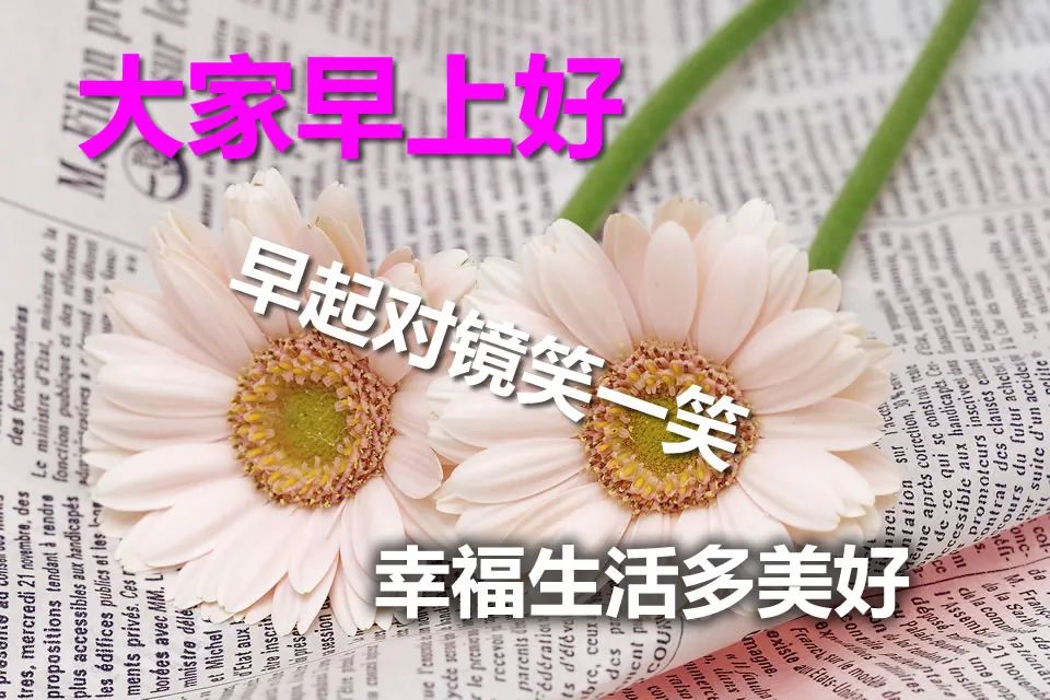 早上好的问候语图片 早上好祝福语句子大全 心情好、永不老、没烦恼图片