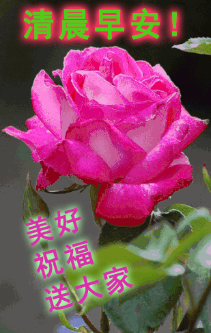 微信早上好图片表情祝福 星期六新版早安问候语励志正能量句子图片
