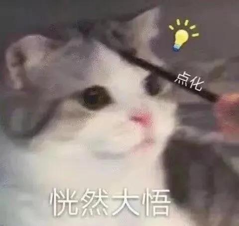 沙雕网友日常：玩王者荣耀么？你负责一打五，我负责全图浪