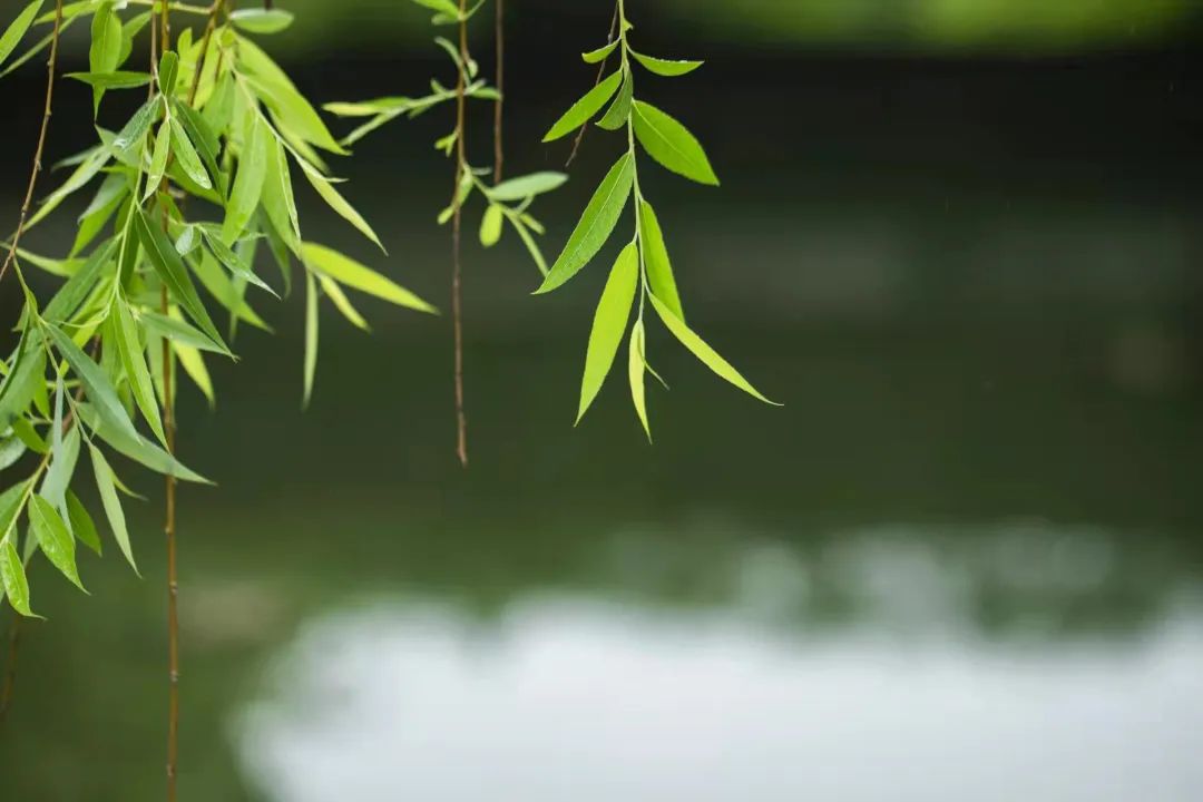 山石有礼 文末惊喜丨清明踏青好时节，古人可比你会玩