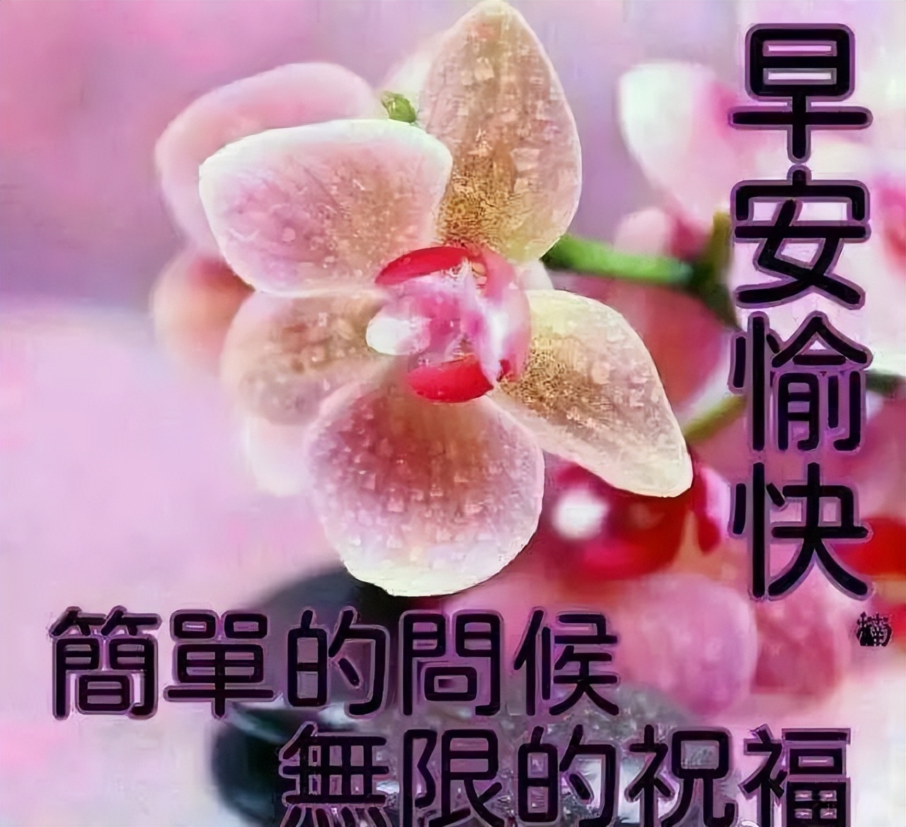 周六早安，非常温馨的早上好祝福语图集，幸福甜蜜、知足健康图片