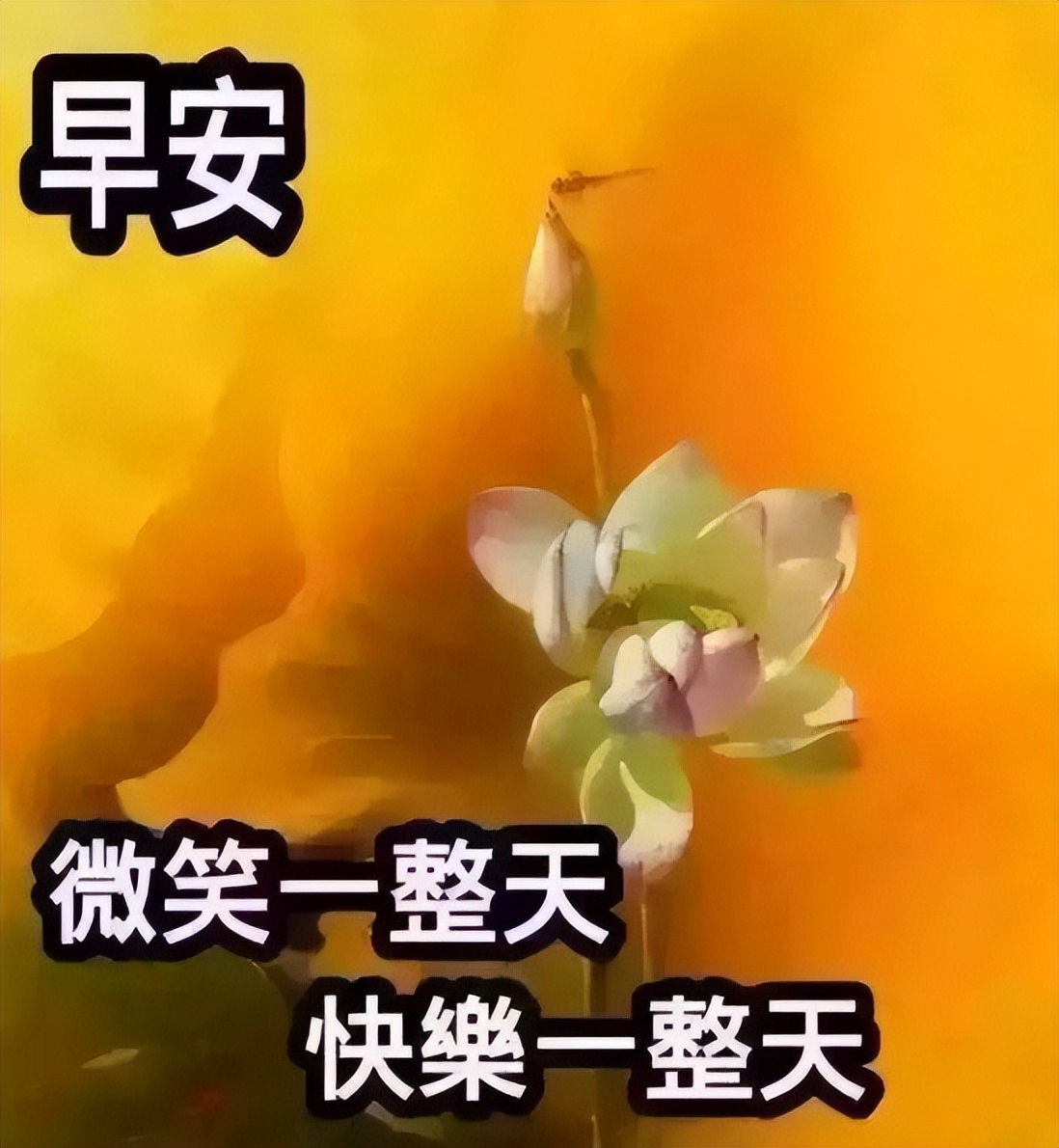 2022周二早上好祝福语带字带祝福语图集 愿你健康永久、快乐永久图片