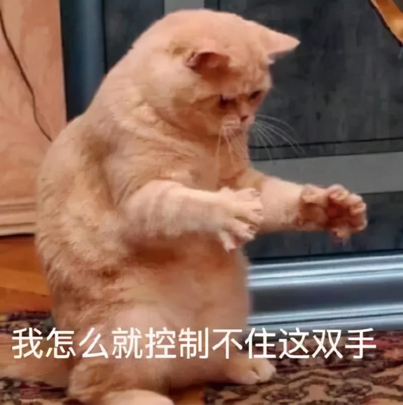 小学生买奥特曼卡片（20元的奥特曼卡片）