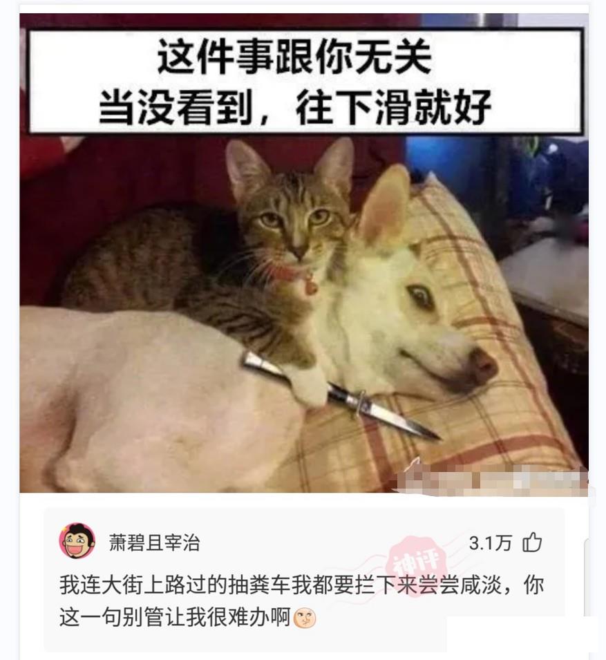 这位大哥是有多受不了别人在他与老婆面前秀恩爱呀