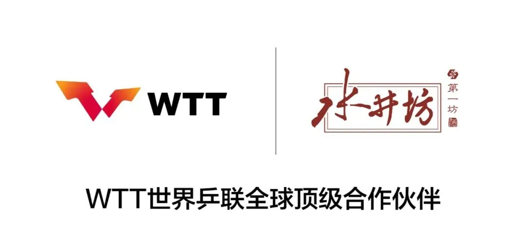 【庄智渊】V系列限量版双面贴套胶 | 套胶狂热者必入款！