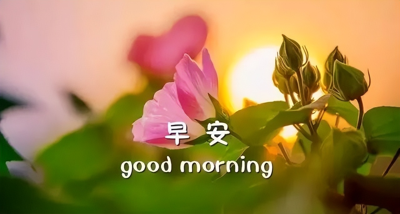 2022最美朋友圈精选带字早上好问候图片分享，懂得知足就会幸福图片