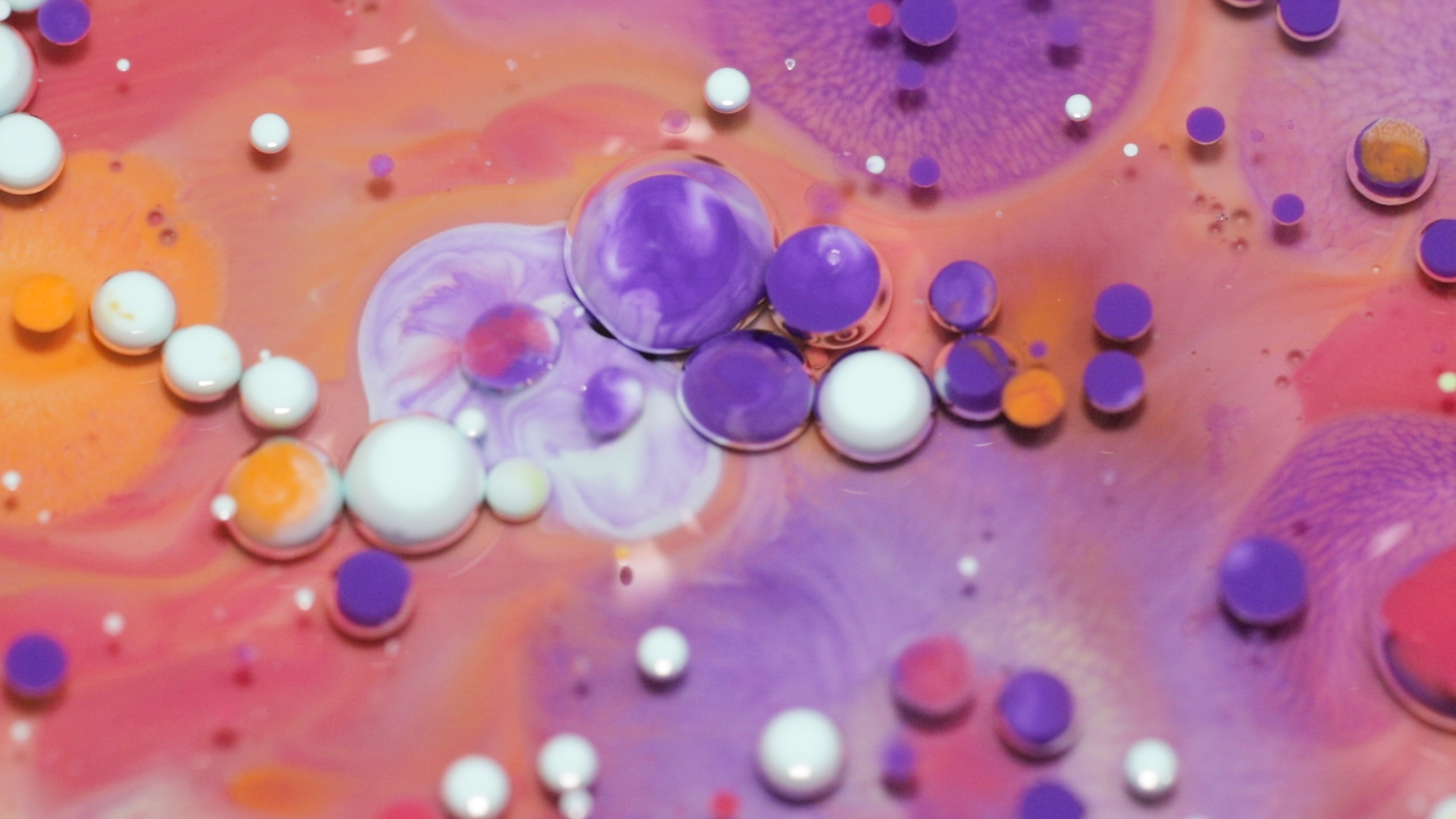 2022索尼世界摄影大赛学生组，中国摄影师剑指冠军