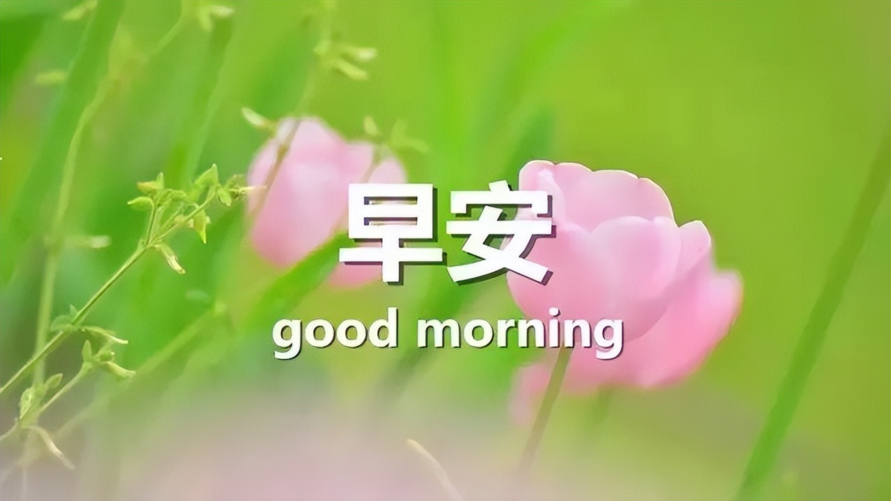 今日更新早上好表情包，岁岁平安，平安健康，快乐如意图片