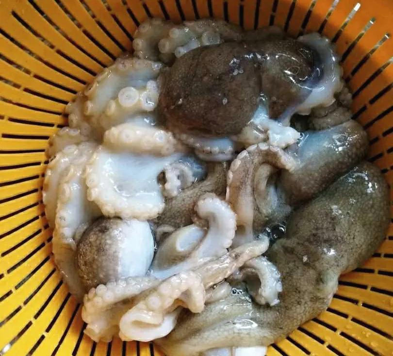 常见海鲜的名称和图片(盘点15种常吃的小海鲜) - 赤虎壹号