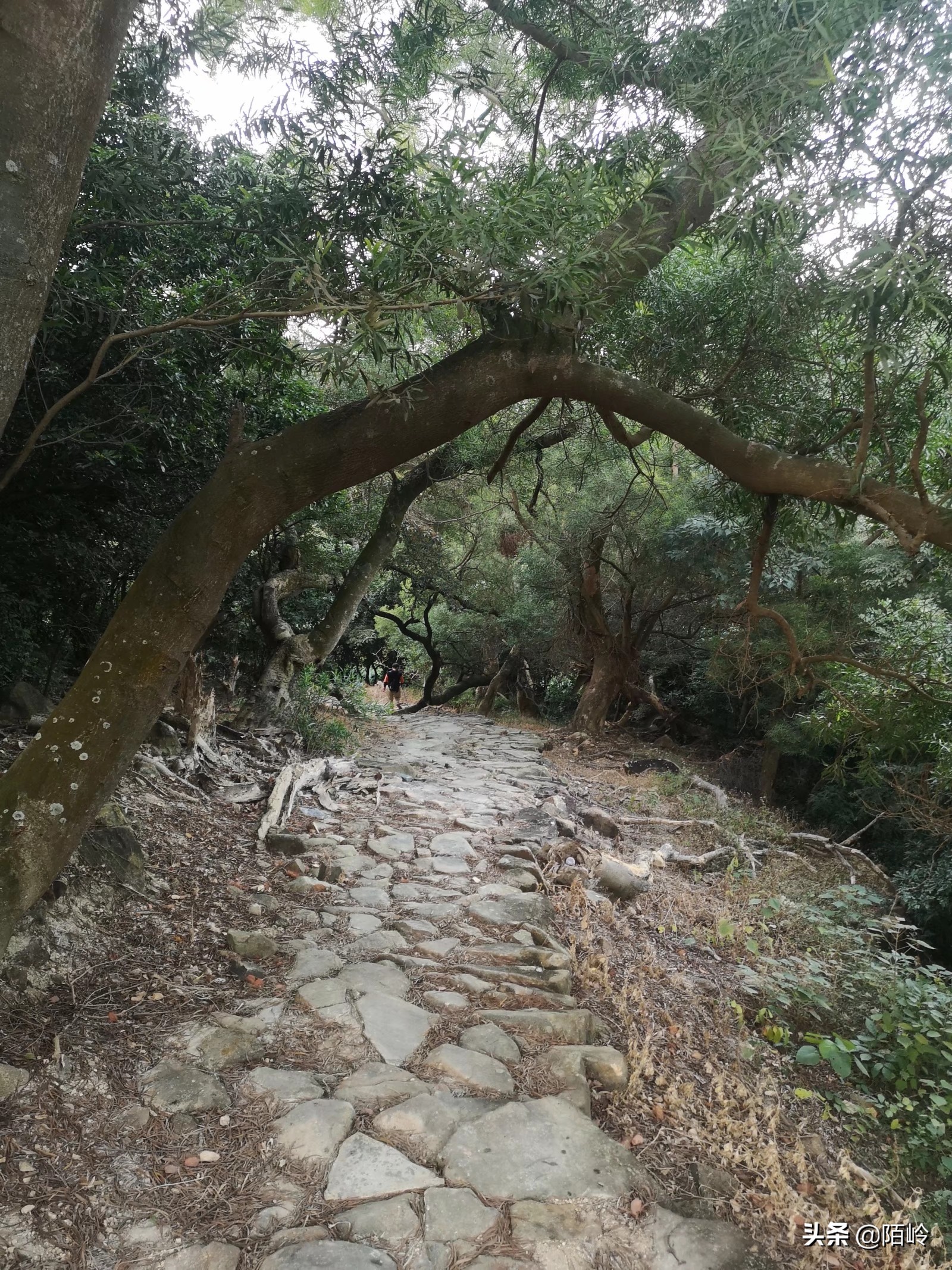 七娘山(高岭古村：七娘山400年历史的明清古村，如今被驴友称为“鬼村”)